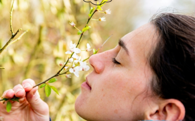 Prescription pour une cure d’attention flottante